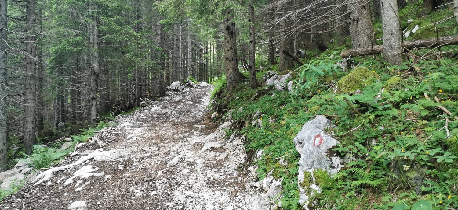 Medvedova konta - Blejska koča na Lipanci slika 4