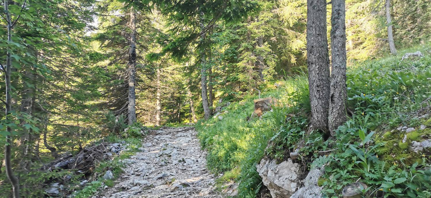 Medvedova konta - Kredarica (Lipanca) slika 8