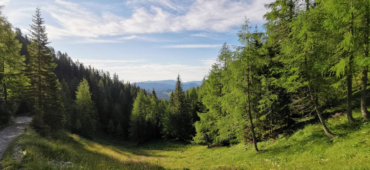 Medvedova konta - Kredarica (Lipanca) slika 10