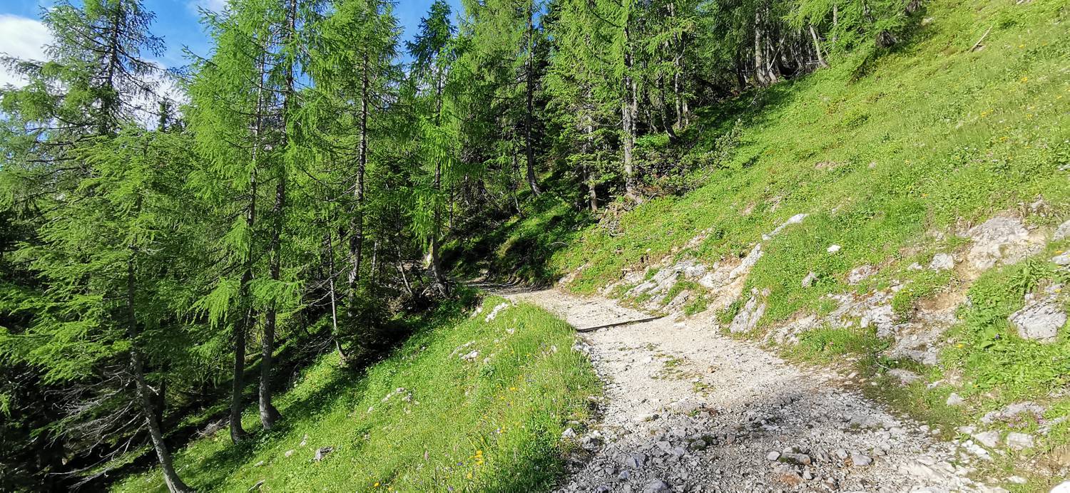 Medvedova konta - Kredarica (Lipanca) slika 11