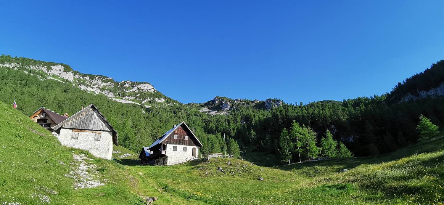 Medvedova konta - Blejska koča na Lipanci slika 14