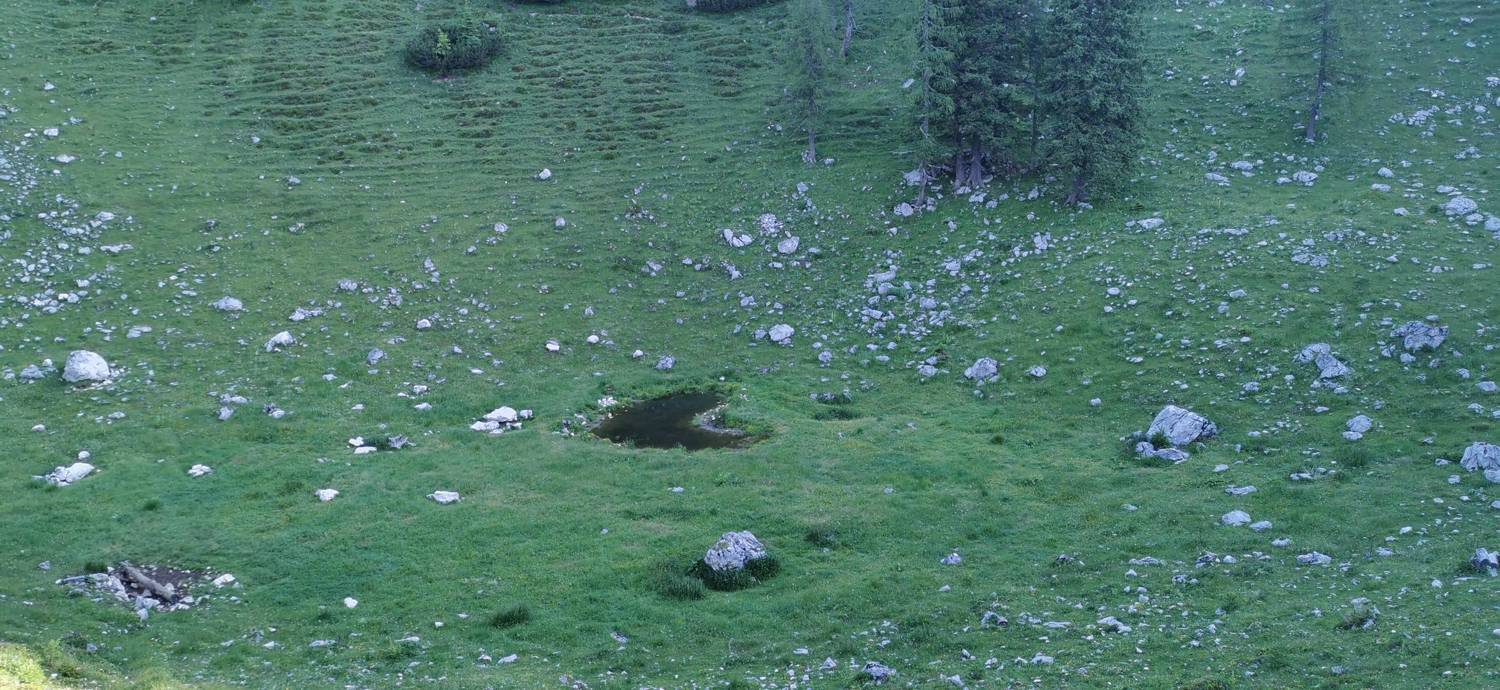 Medvedova konta - Kredarica (Lipanca) slika 18