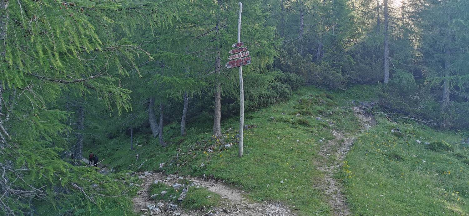 Medvedova konta - Kredarica (Lipanca) slika 20