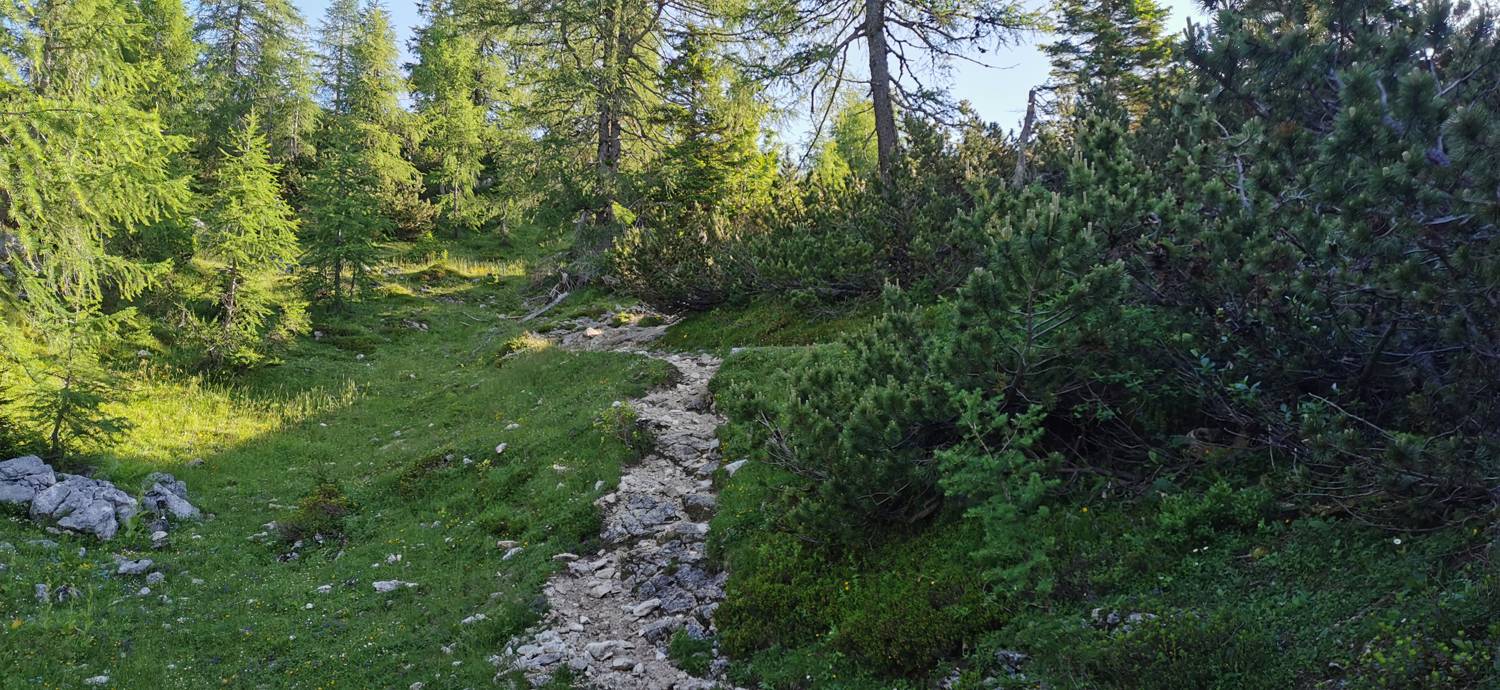 Medvedova konta - Kredarica (Lipanca) slika 28