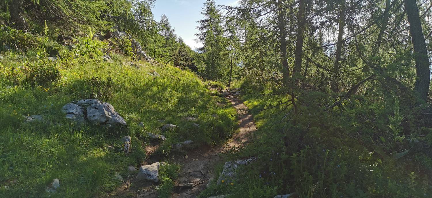 Medvedova konta - Kredarica (Lipanca) slika 29