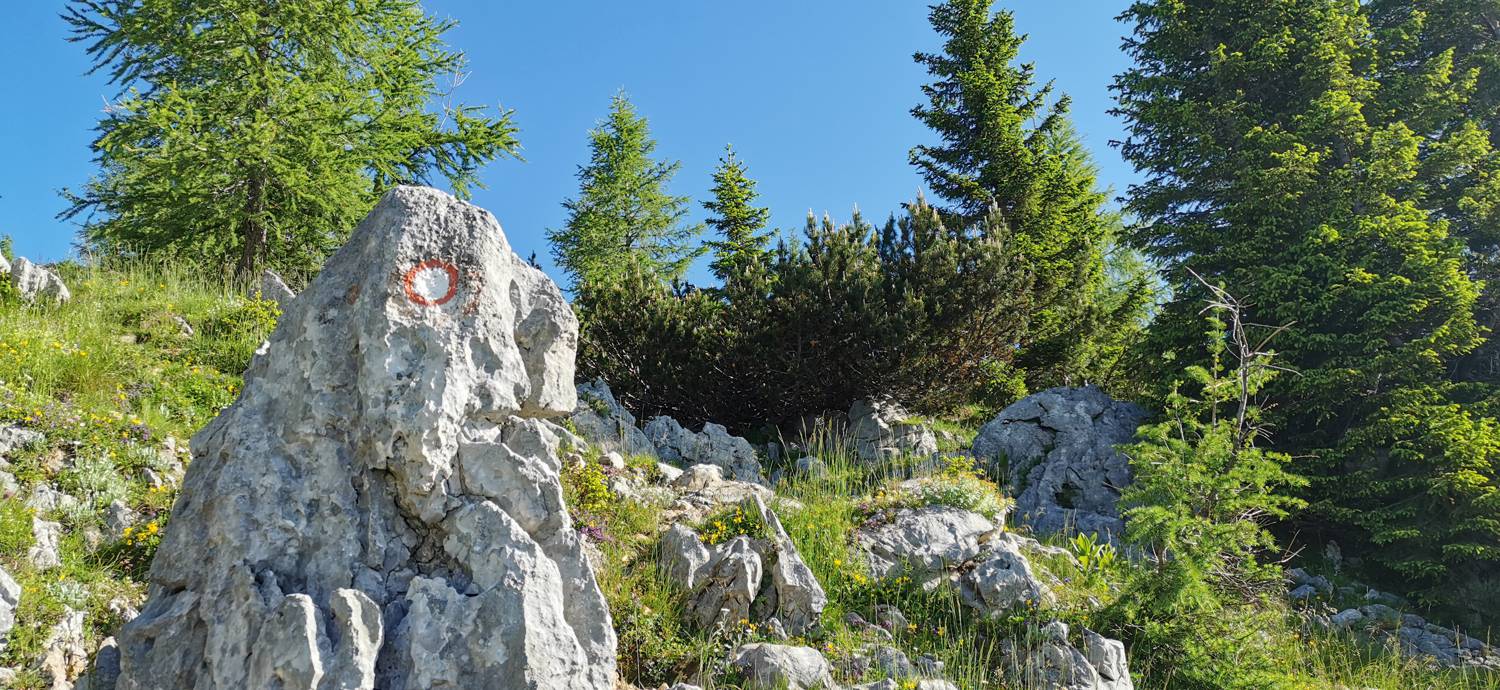 Medvedova konta - Kredarica (Lipanca) slika 30