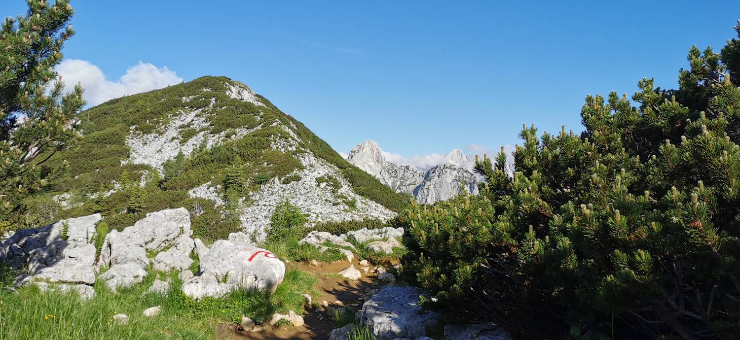 Medvedova konta - Kredarica (Lipanca) slika 32