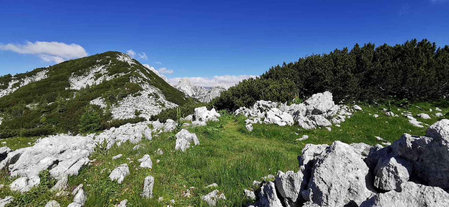 Medvedova konta - Kredarica (Lipanca) slika 34