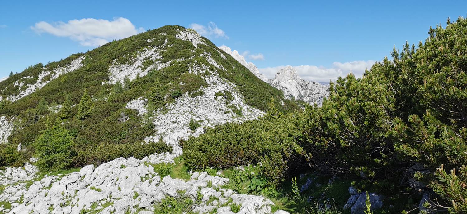 Medvedova konta - Kredarica (Lipanca) slika 36