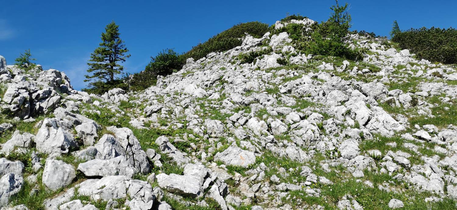 Medvedova konta - Kredarica (Lipanca) slika 37