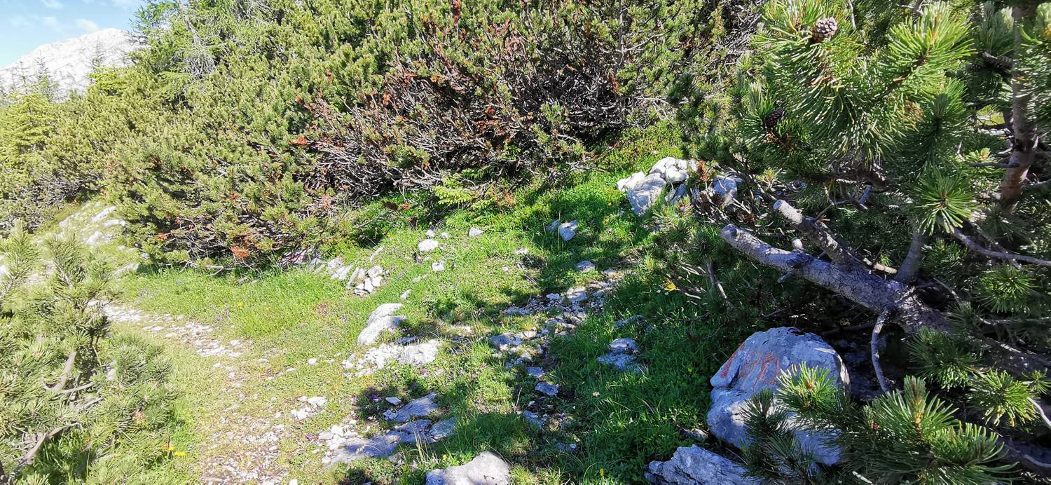 Medvedova konta - Kredarica (Lipanca) slika 39