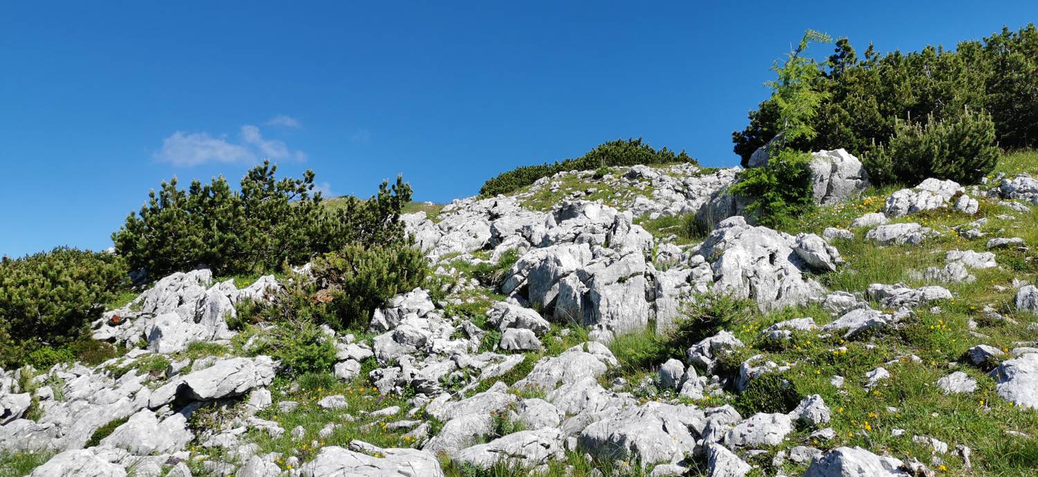 Medvedova konta - Kredarica (Lipanca) slika 42