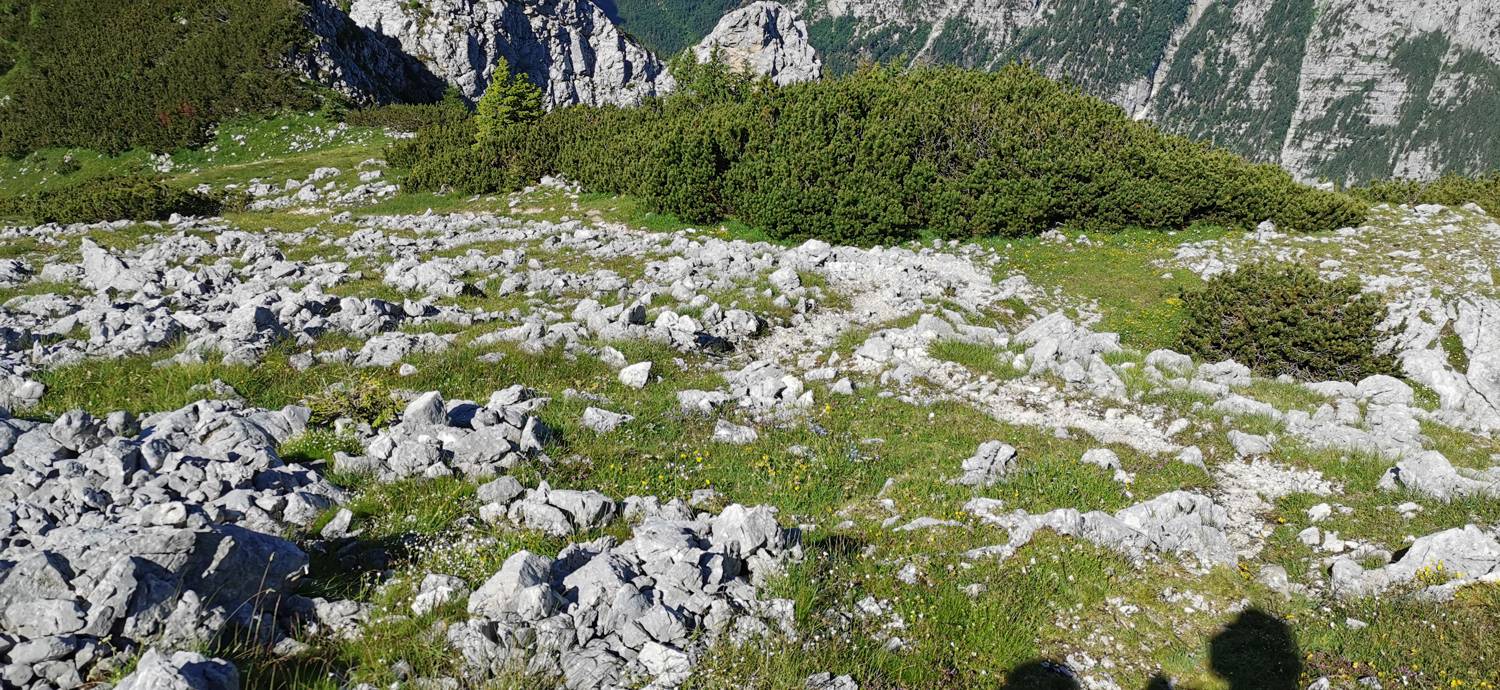 Medvedova konta - Kredarica (Lipanca) slika 47