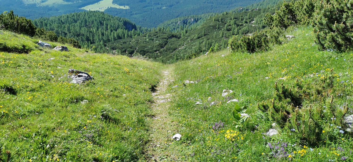 Medvedova konta - Kredarica (Lipanca) slika 48