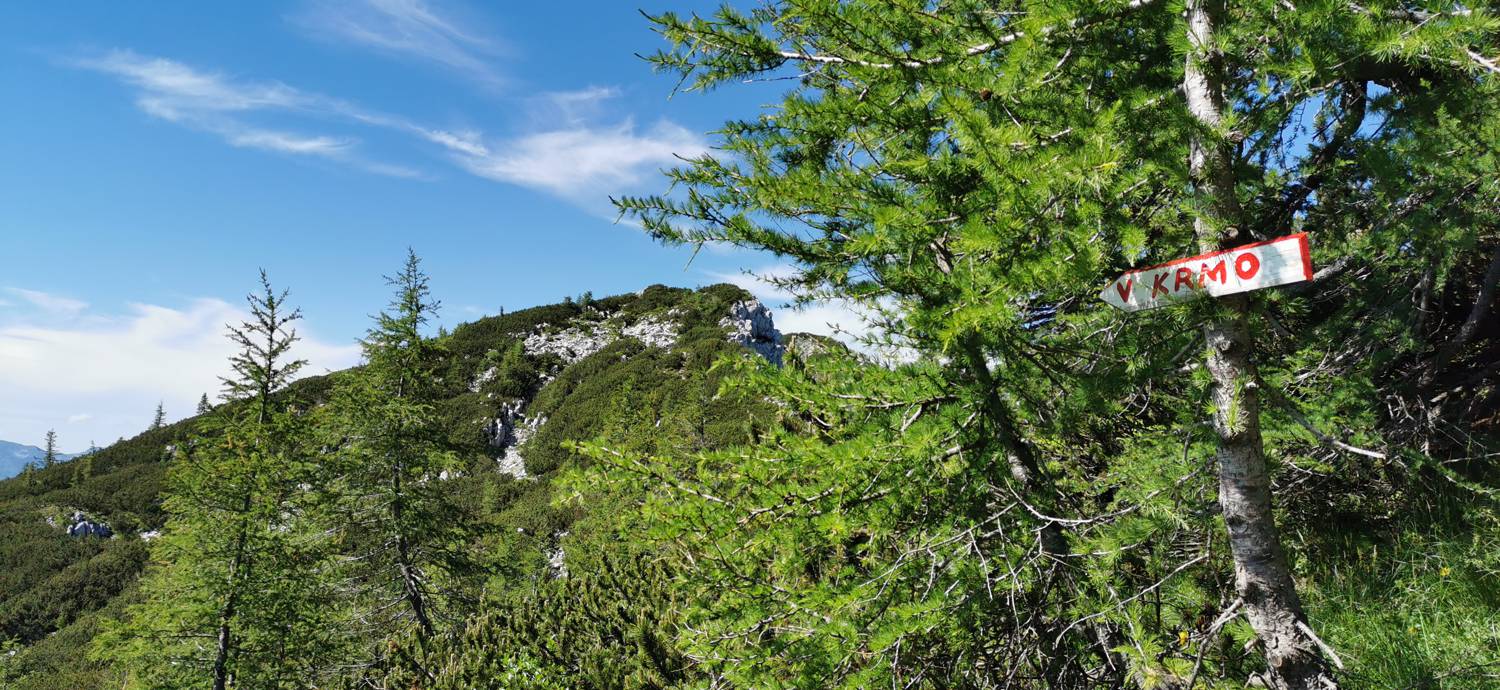 Medvedova konta - Kredarica (Lipanca) slika 50