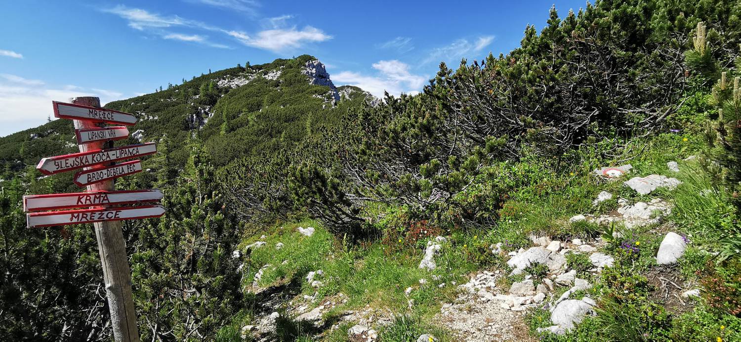 Medvedova konta - Kredarica (Lipanca) slika 51