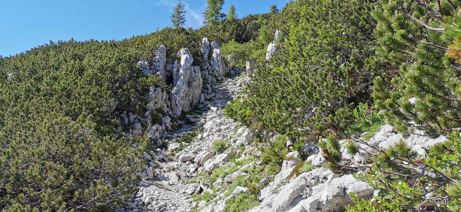 Medvedova konta - Kredarica (Lipanca) slika 54