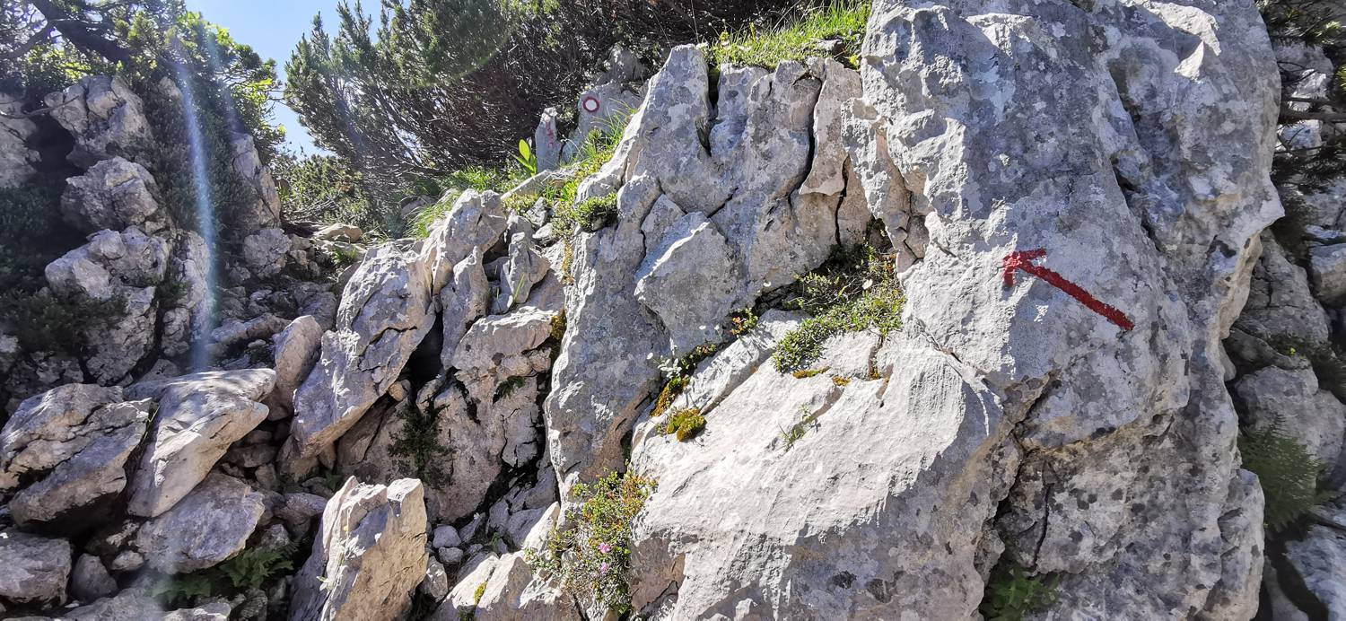 Medvedova konta - Kredarica (Lipanca) slika 55