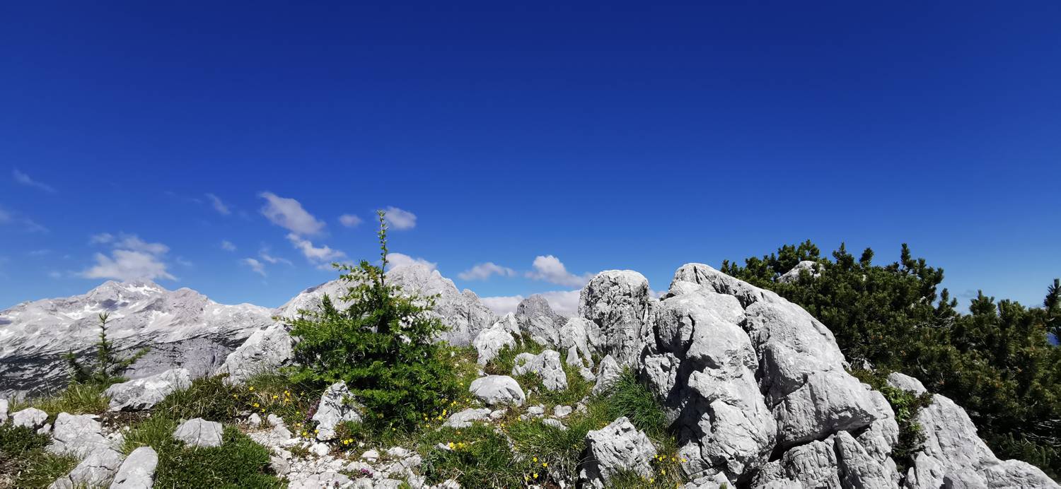 Medvedova konta - Kredarica (Lipanca) slika 56