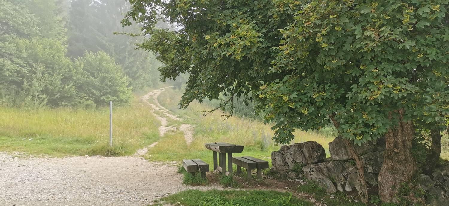 Parkirišče na Vorančkovci (Stara Fužina) - Razgledišče Vogar slika 3