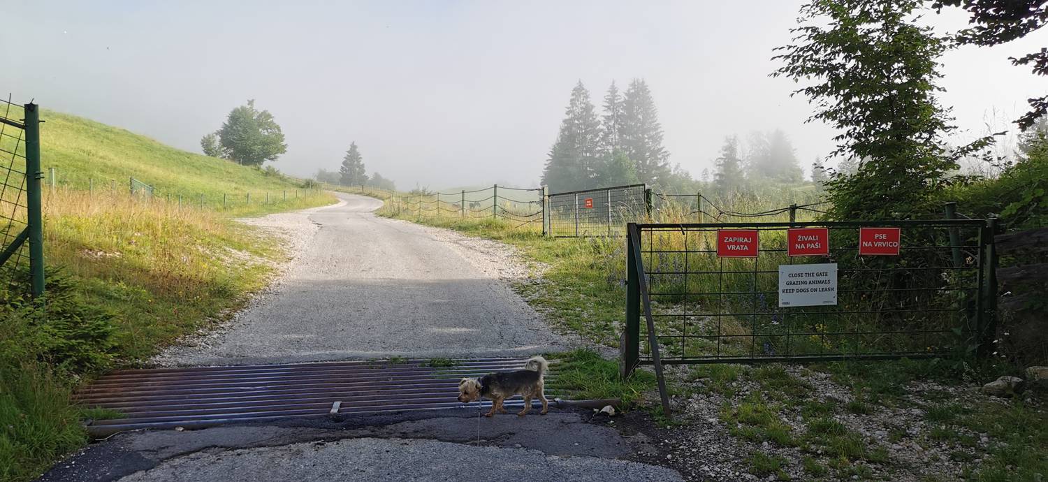 Parkirišče na Vorančkovci (Stara Fužina) - Razgledišče Vogar slika 6
