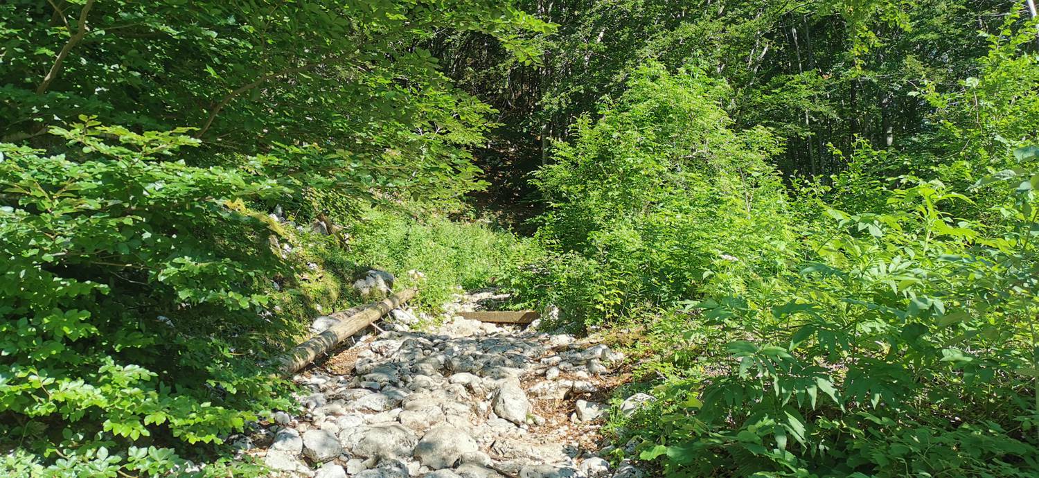 Parkirišče na Vorančkovci (Stara Fužina) - Razgledišče Vogar slika 10