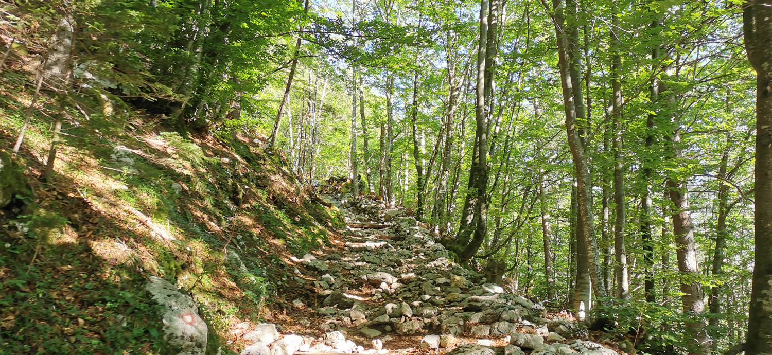 Parkirišče na Vorančkovci (Stara Fužina) - Razgledišče Vogar slika 11