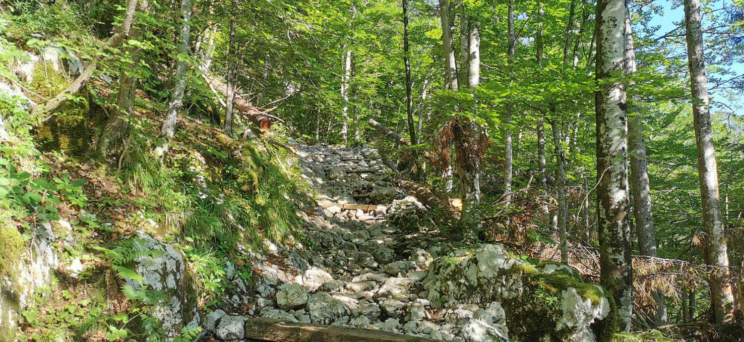 Parkirišče na Vorančkovci (Stara Fužina) - Razgledišče Vogar slika 12