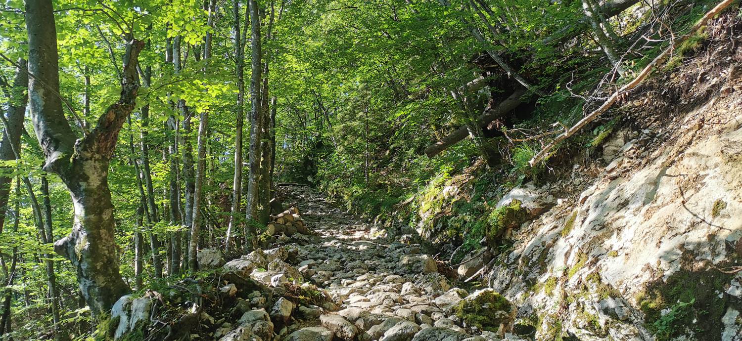 Parkirišče na Vorančkovci (Stara Fužina) - Razgledišče Vogar slika 13