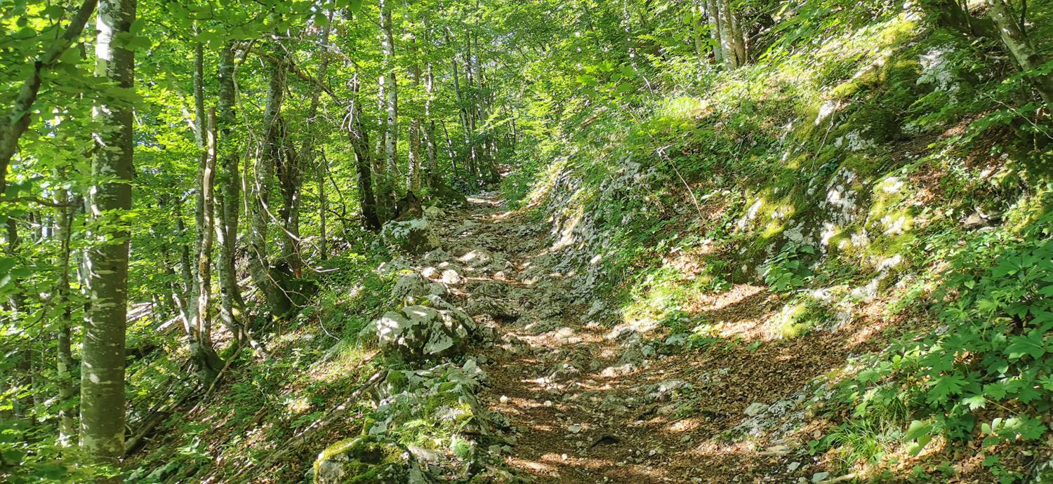 Parkirišče na Vorančkovci (Stara Fužina) - Razgledišče Vogar slika 14