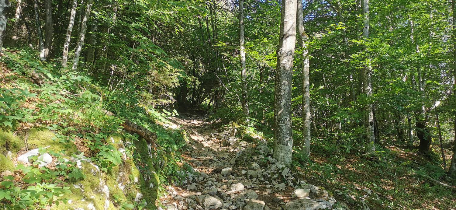 Parkirišče na Vorančkovci (Stara Fužina) - Razgledišče Vogar slika 15