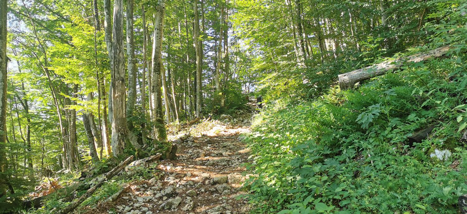 Parkirišče na Vorančkovci (Stara Fužina) - Razgledišče Vogar slika 16
