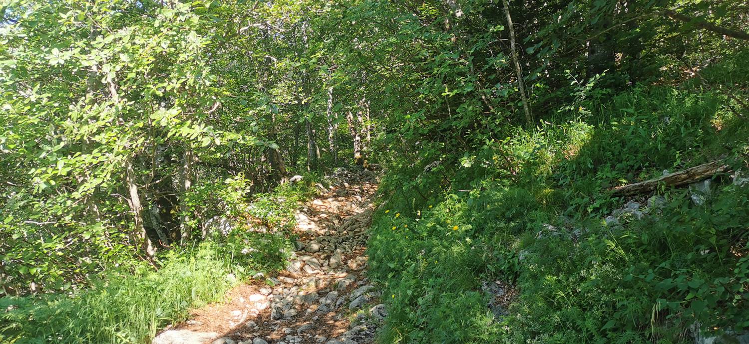 Parkirišče na Vorančkovci (Stara Fužina) - Razgledišče Vogar slika 17