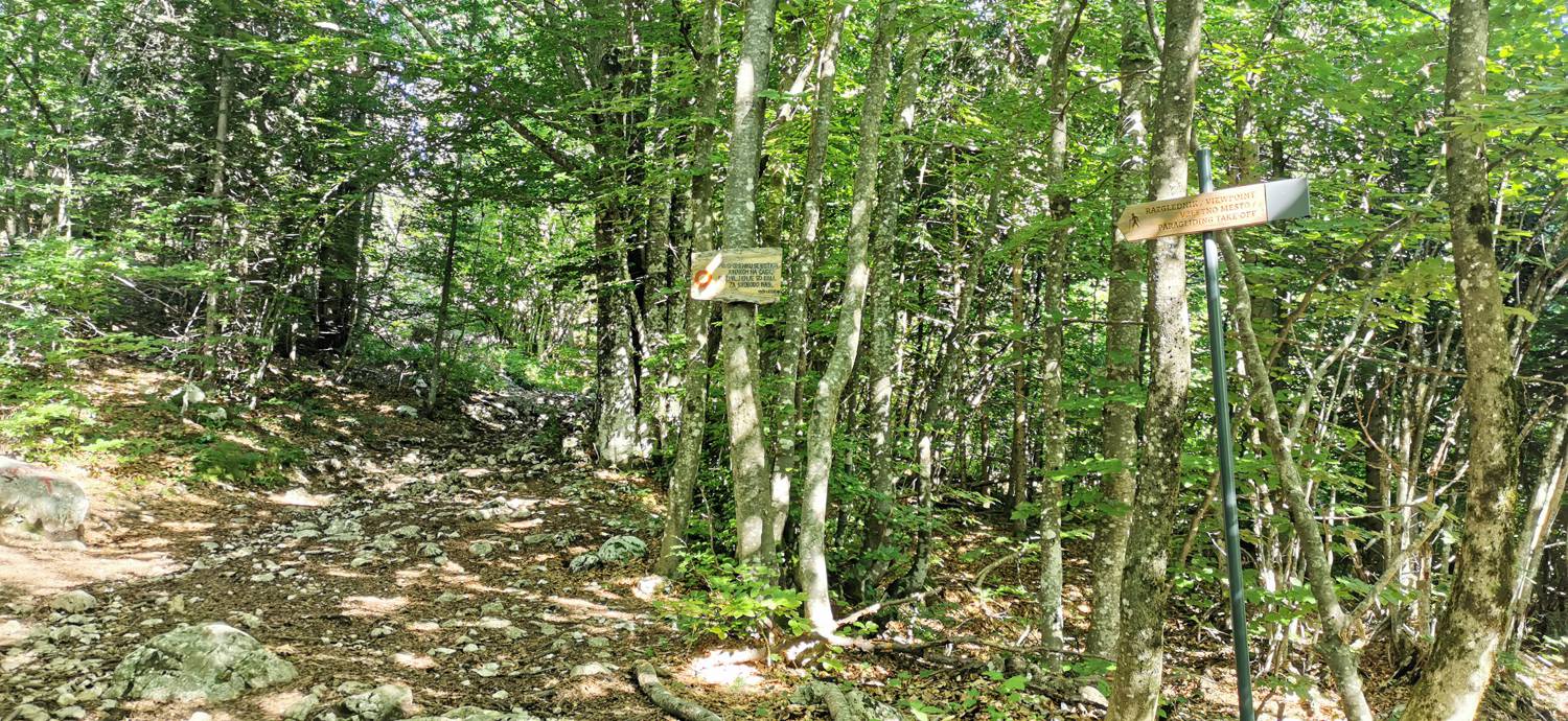 Parkirišče na Vorančkovci (Stara Fužina) - Razgledišče Vogar slika 18