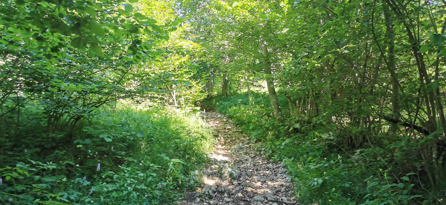 Parkirišče na Vorančkovci (Stara Fužina) - Razgledišče Vogar slika 20