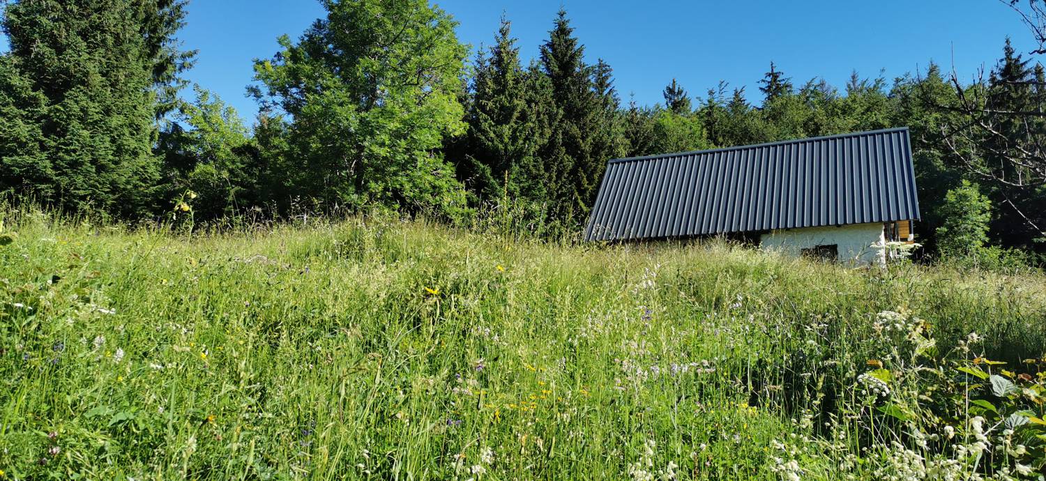 Parkirišče na Vorančkovci (Stara Fužina) - Razgledišče Vogar slika 21