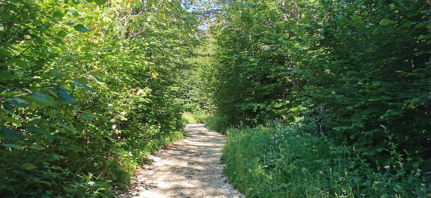 Parkirišče na Vorančkovci (Stara Fužina) - Razgledišče Vogar slika 23