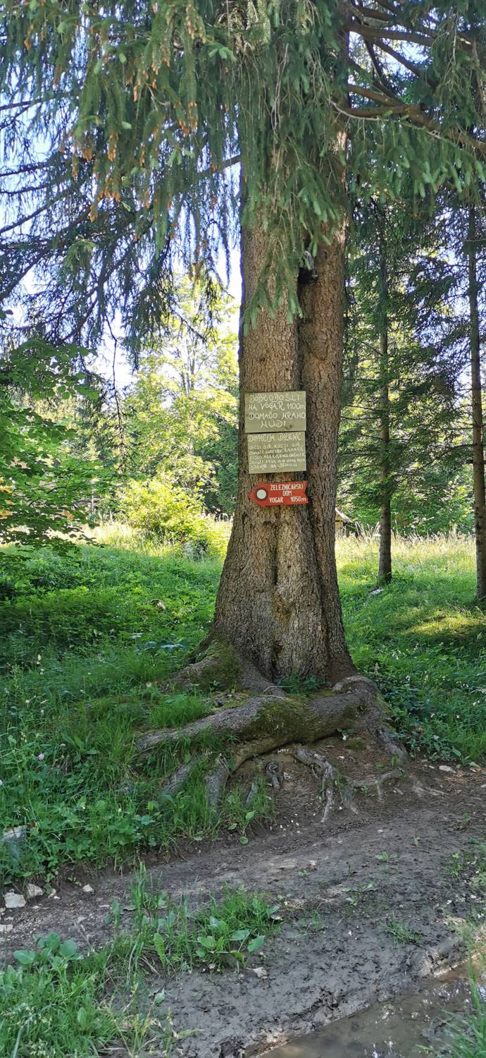 Parkirišče na Vorančkovci (Stara Fužina) - Razgledišče Vogar slika 24