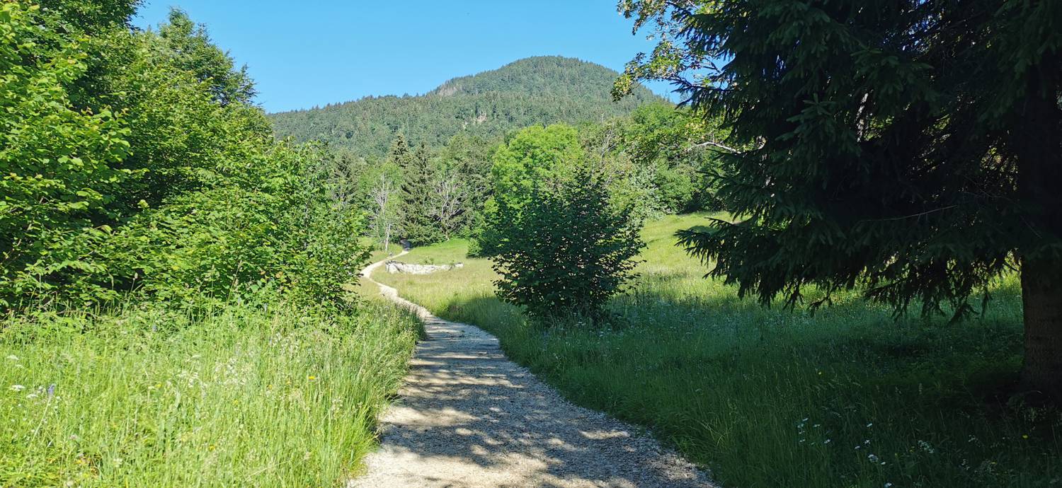 Parkirišče na Vorančkovci (Stara Fužina) - Razgledišče Vogar slika 25