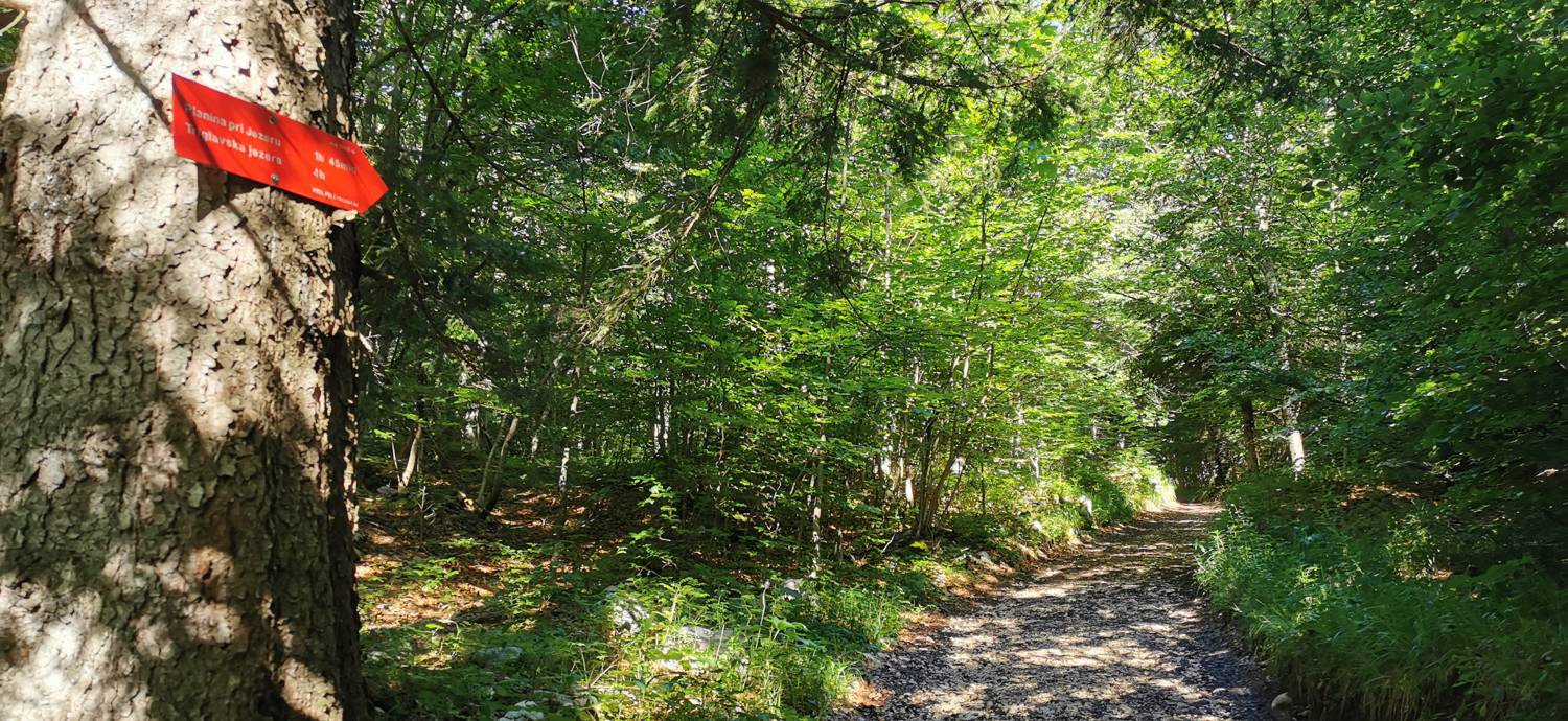 Parkirišče na Vorančkovci (Stara Fužina) - Razgledišče Vogar slika 26