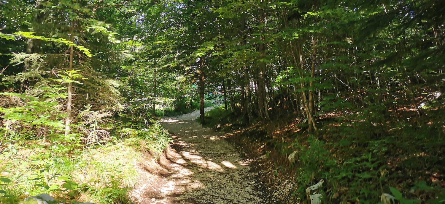 Parkirišče na Vorančkovci (Stara Fužina) - Razgledišče Vogar slika 27