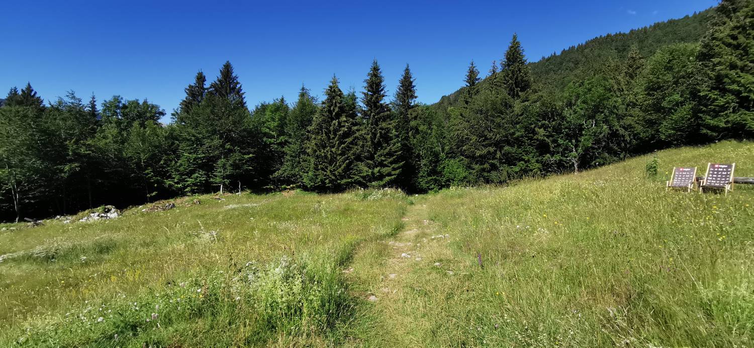 Parkirišče na Vorančkovci (Stara Fužina) - Razgledišče Vogar slika 30
