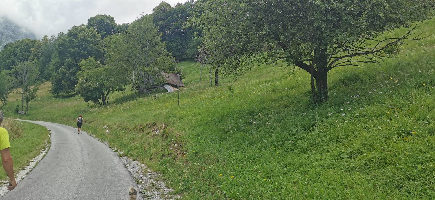 Planina Kuhinja - Planina Kuhinja slika 84