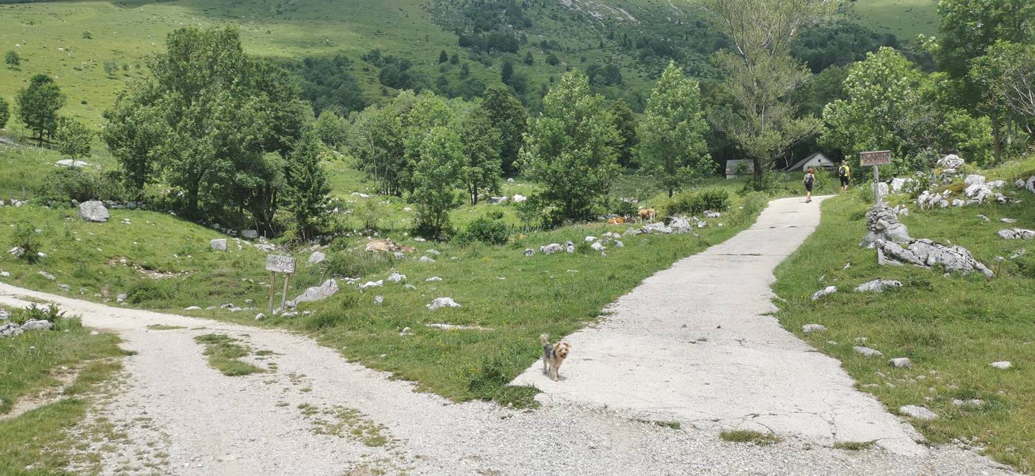 Planina Kuhinja - Planina Kuhinja slika 7