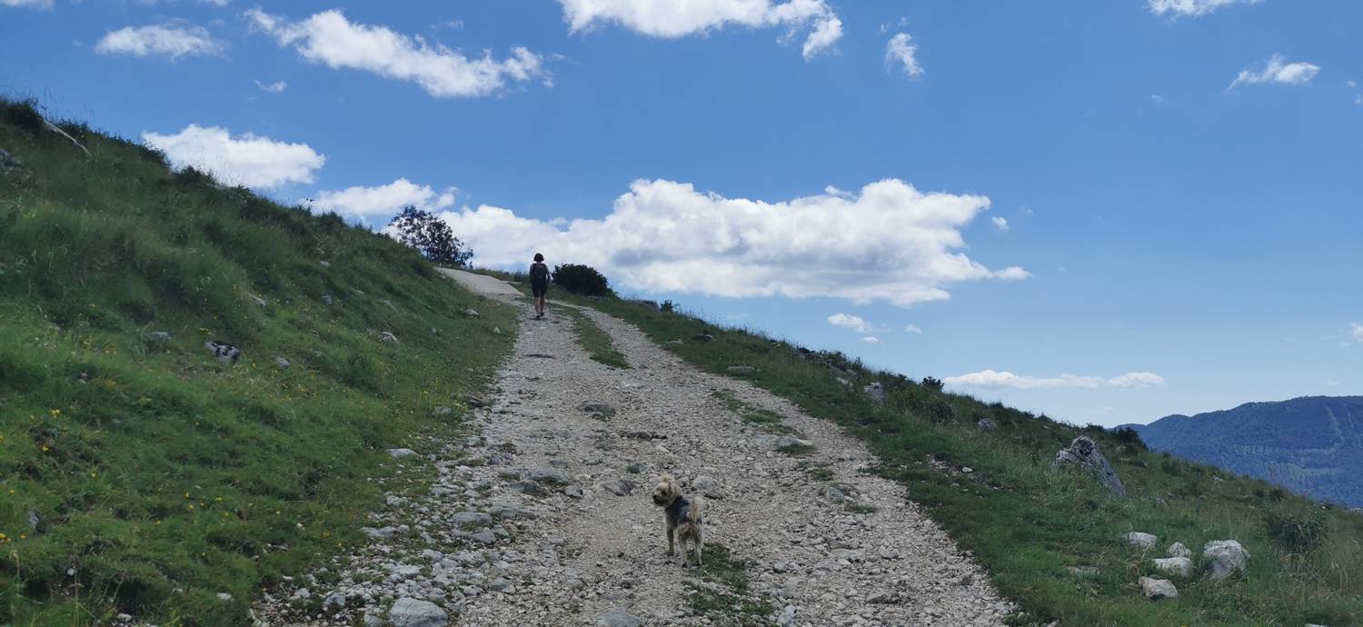 Planina Kuhinja - Planina Kuhinja slika 12