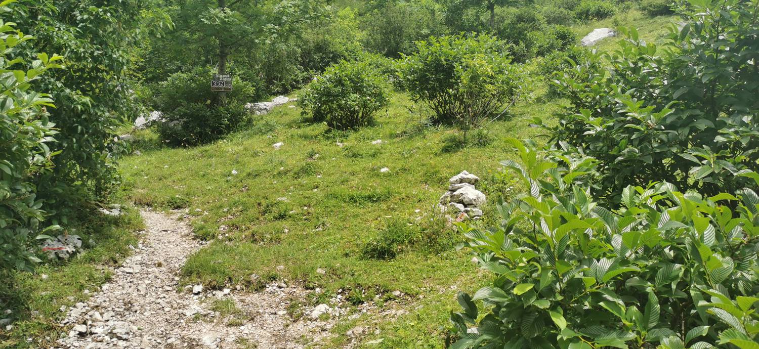 Planina Kuhinja - Planina Kuhinja slika 23