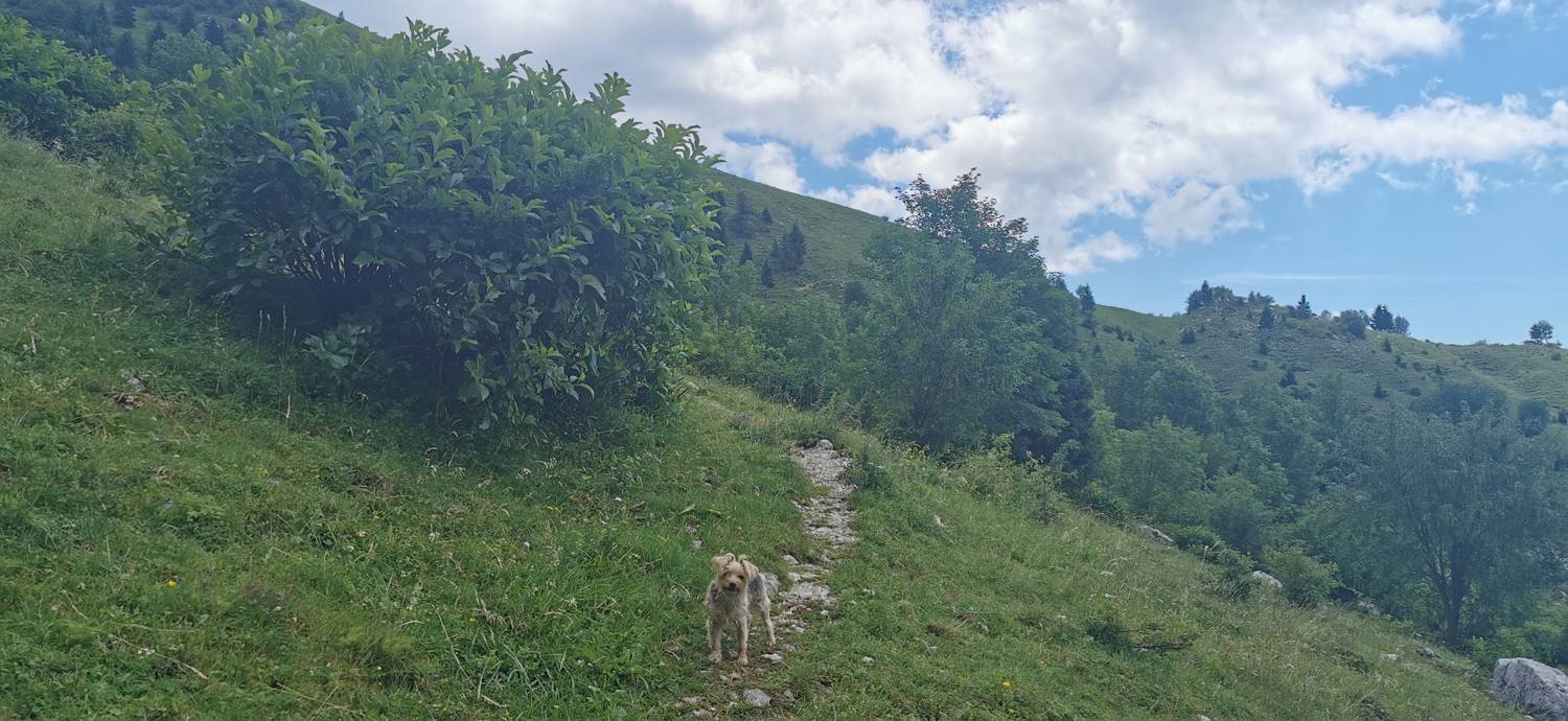 Planina Kuhinja - Planina Kuhinja slika 25