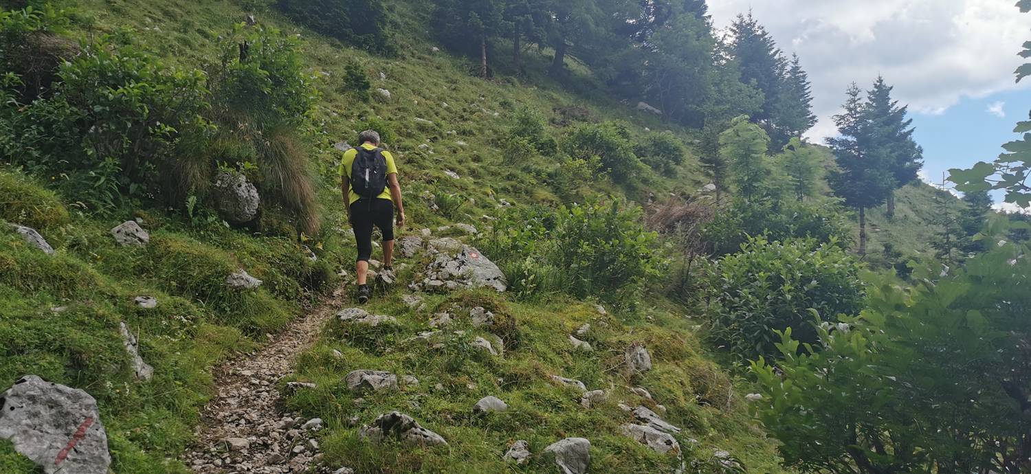 Planina Kuhinja - Planina Kuhinja slika 26