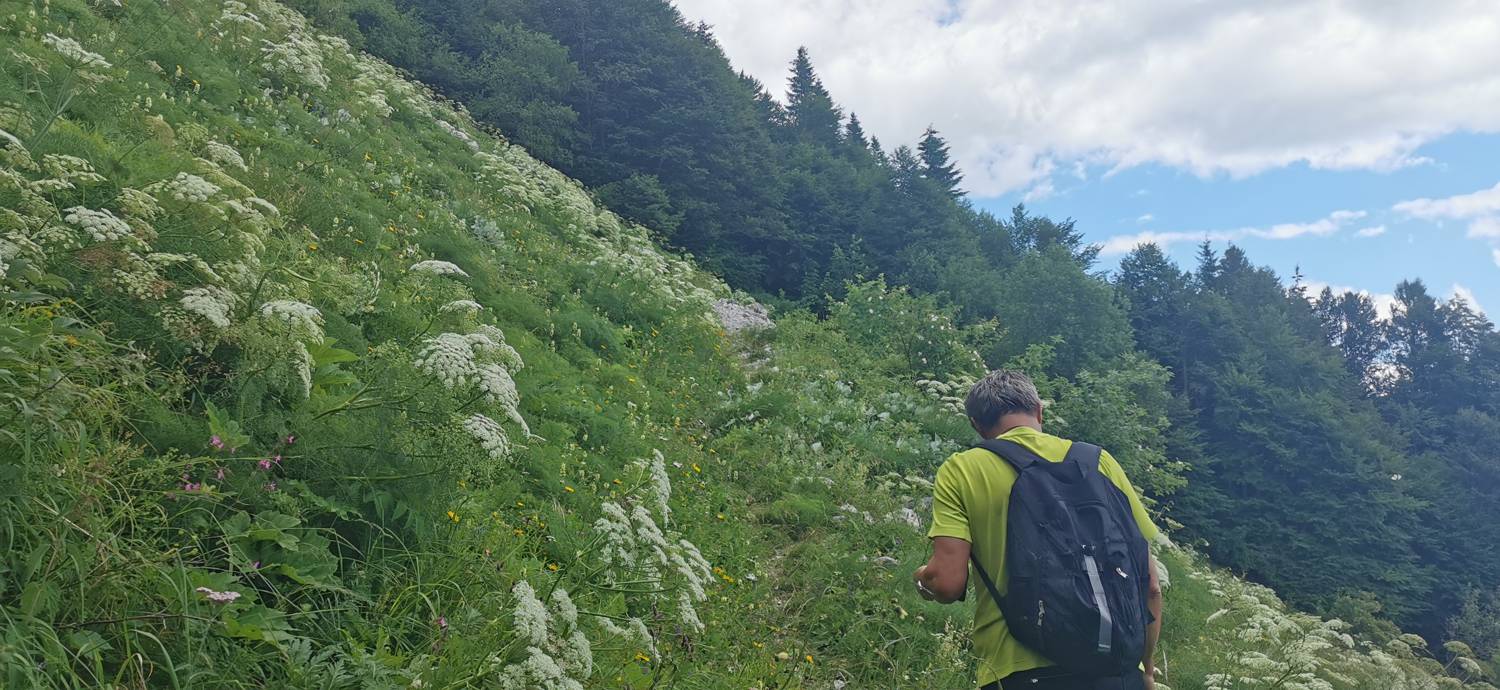 Planina Kuhinja - Planina Kuhinja slika 33