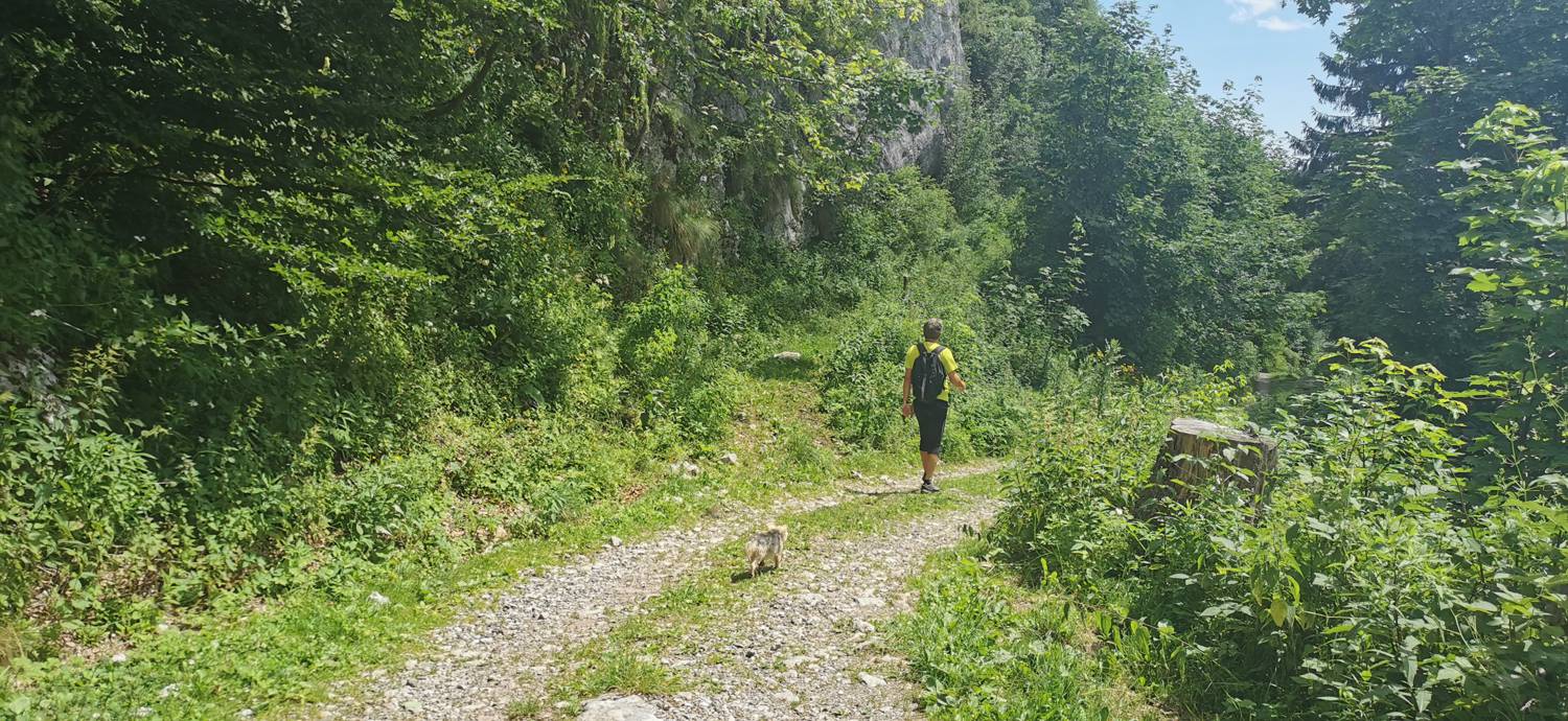 Planina Kuhinja - Planina Kuhinja slika 43